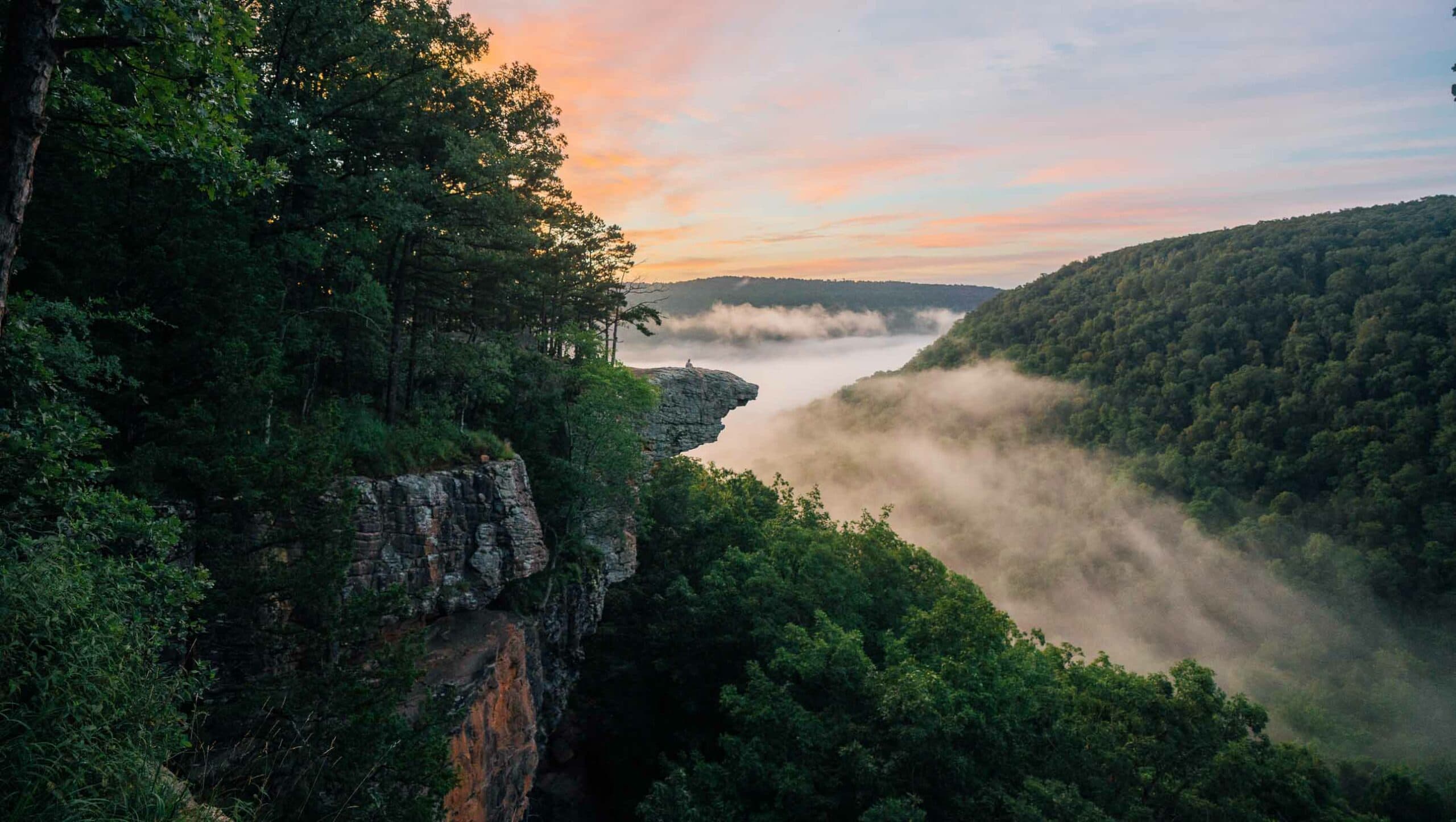Whitaker Point